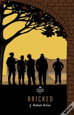 Capa do artigo Bricked