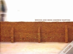 Capa do artigo Bricks And Bees