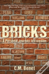 Bricks