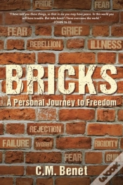 Capa do artigo Bricks