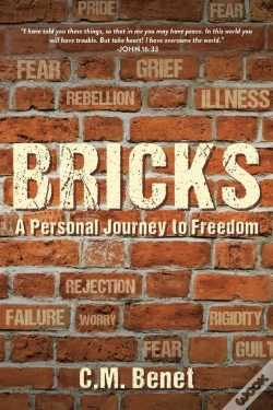 Capa do artigo Bricks