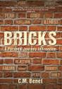 Bricks - Preview
