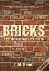 Bricks