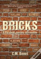 Capa do artigo Bricks