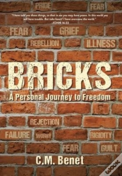 Capa do artigo Bricks