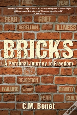 Capa do artigo Bricks