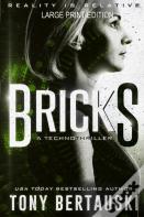 Bricks (Large Print Edition)