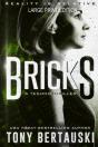 Bricks (Large Print Edition) - Preview