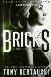Bricks (Large Print Edition)