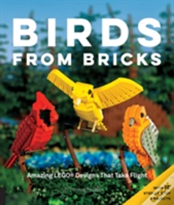 Capa do artigo Bricks With Wings