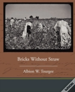 Capa do artigo Bricks Without Straw