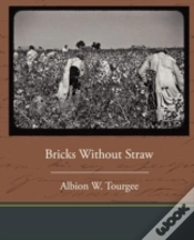 Capa do artigo Bricks Without Straw