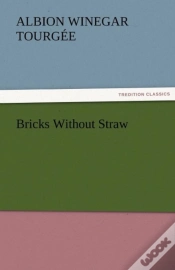 Capa do artigo Bricks Without Straw
