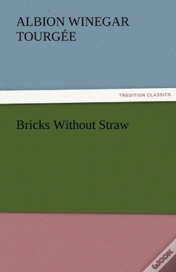 Capa do artigo Bricks Without Straw
