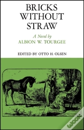 Bricks Without Straw