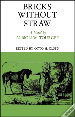 Capa do artigo Bricks Without Straw