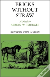 Capa do artigo Bricks Without Straw