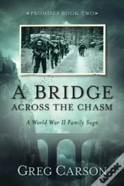 Capa do artigo Bridge Across The Chasm