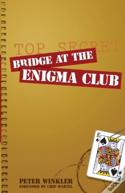 Capa do artigo Bridge At The Enigma Club