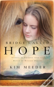 Capa do artigo Bridge Called Hope