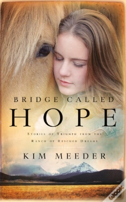 Capa do artigo Bridge Called Hope