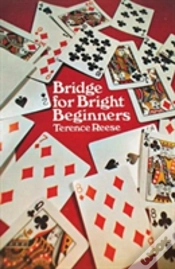 Capa do artigo Bridge For Bright Beginners
