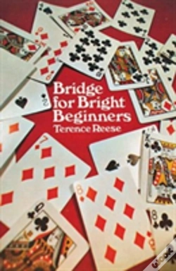 Capa do artigo Bridge For Bright Beginners