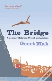 Capa do artigo Bridge