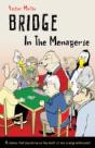 Bridge In The Menagerie - Preview