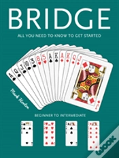 Capa do artigo Bridge