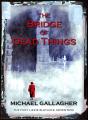 Bridge Of Dead Things - Preview