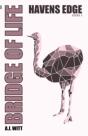 Bridge Of Life - Preview