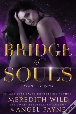 Capa do artigo Bridge Of Souls