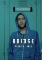 Bridge - Preview