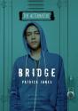 Bridge - Preview