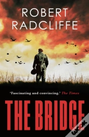 Capa do artigo Bridge