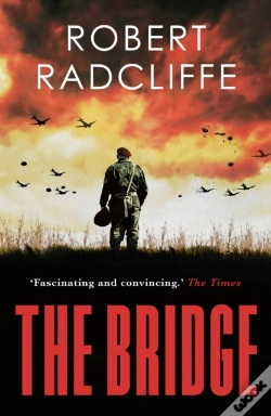 Capa do artigo Bridge