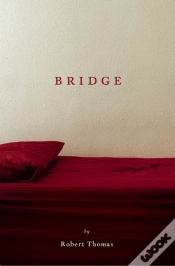 Capa do artigo Bridge