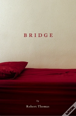 Capa do artigo Bridge