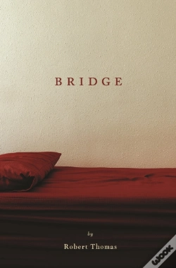Capa do artigo Bridge