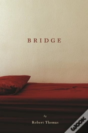 Capa do artigo Bridge