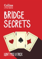 Bridge Secrets - Preview