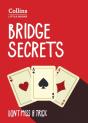 Bridge Secrets - Preview