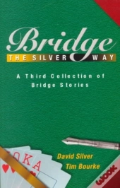 Bridge The Silver Way