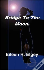 Capa do artigo Bridge To The Moon.