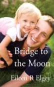 Bridge To The Moon