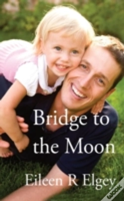 Capa do artigo Bridge To The Moon