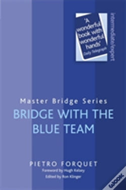 Capa do artigo Bridge With The Blue Team
