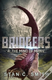 Capa do artigo Bridgers 4