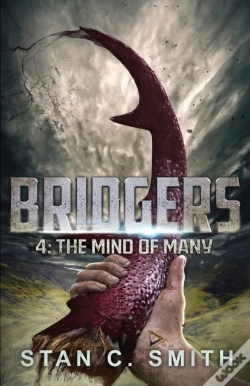 Capa do artigo Bridgers 4